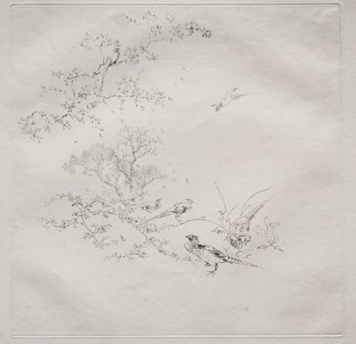 Servizio parigino (servizio Haviland) da Felix Bracquemond