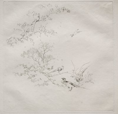 Servizio parigino (servizio Haviland): Nebbia (n. 1) da Felix Bracquemond
