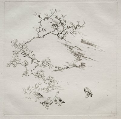 Servizio parigino (servizio Haviland): Notte (n. 7) da Felix Bracquemond