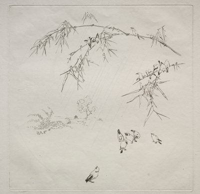 Servizio parigino (servizio Haviland): Pioggia (n. 10) da Felix Bracquemond