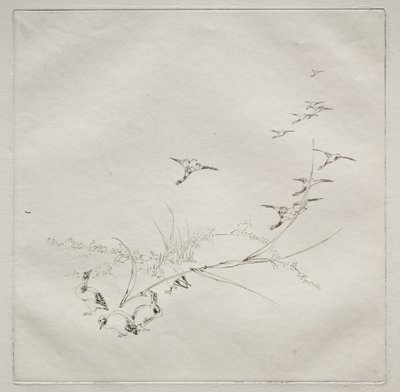 Servizio parigino (servizio Haviland): Dritto nel sole (n. 9) da Felix Bracquemond