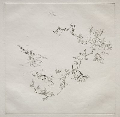 Servizio parigino (servizio Haviland): Alba (n. 12) da Felix Bracquemond