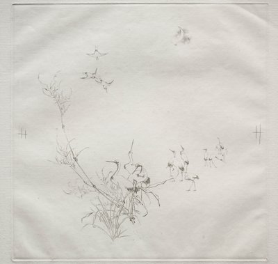Servizio parigino (servizio Haviland): La luna (n. 5) da Felix Bracquemond