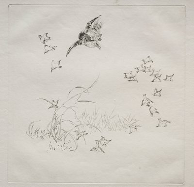 Servizio parigino (servizio Haviland): Il terrore (n. 4) da Felix Bracquemond