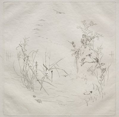 Servizio parigino Haviland: Calma n. 3 da Felix Bracquemond