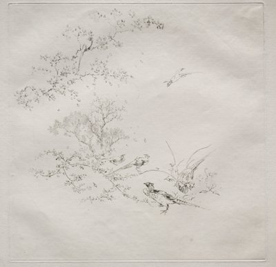 Servizio parigino Haviland: Nebbia n. 1, 1875 da Felix Bracquemond
