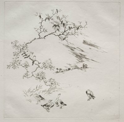 Servizio parigino Haviland: Notte n. 7, 1875 da Felix Bracquemond