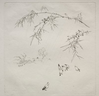 Servizio parigino Haviland: Pioggia n. 10, 1875 da Felix Bracquemond