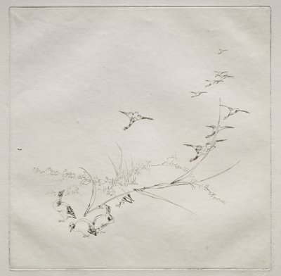Servizio parigino Haviland: Dritto al sole n. 9, 1875 da Felix Bracquemond