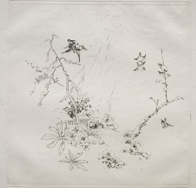 Servizio parigino Haviland: Neve n. 6 da Felix Bracquemond