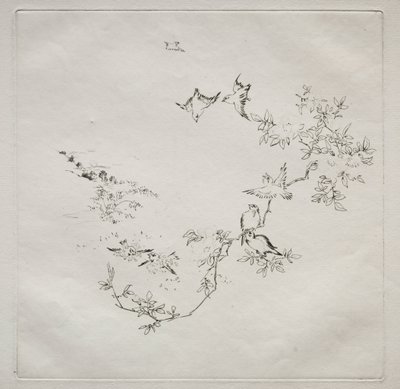Servizio Parigino Haviland: Alba n. 12, 1875 da Felix Bracquemond