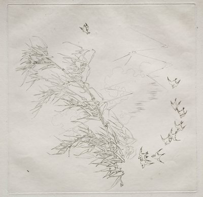 Servizio parigino Haviland: La Tempesta n. 8, 1875 da Felix Bracquemond