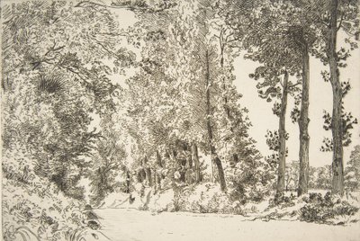 Rue des Bruyères, a Sèvres da Felix Bracquemond
