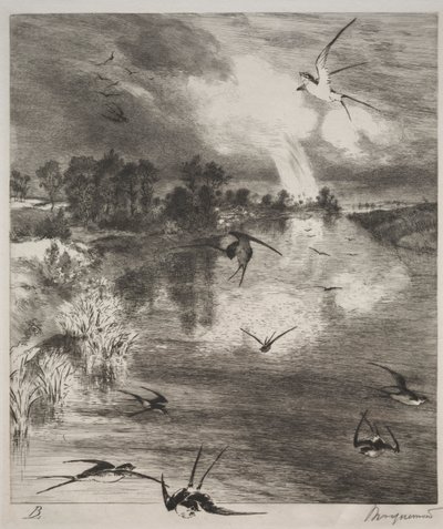 Rondini, 1882 da Felix Bracquemond