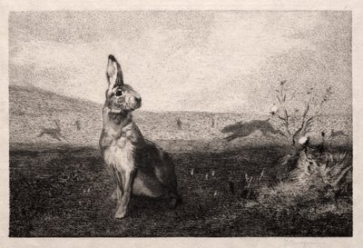 La lepre dopo A. de Balleroy, 1865 da Felix Bracquemond