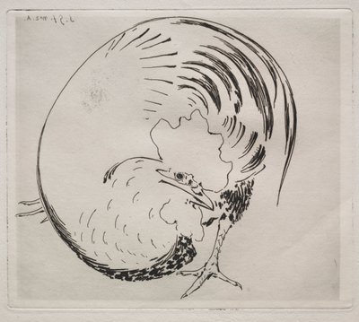 Il servizio ad alta cottura: gallo da Felix Bracquemond