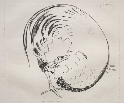 Il servizio ad alta temperatura: controprova del gallo, c. 1860 da Felix Bracquemond