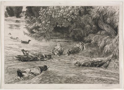 Il punto interrogativo da Felix Bracquemond