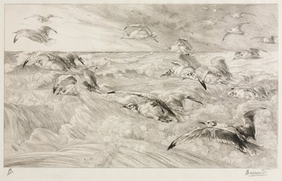 I gabbiani, c. 1880 da Felix Bracquemond