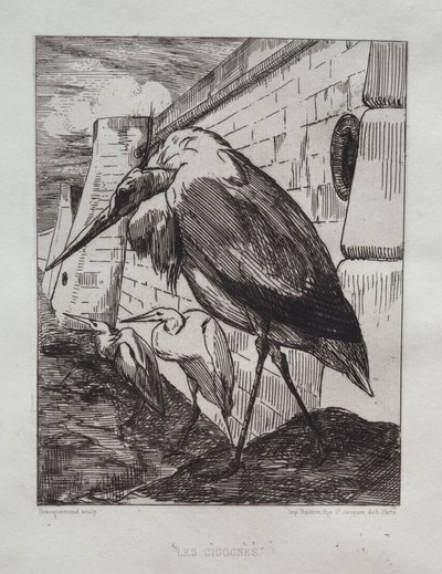 Le cicogne, 1865 da Felix Bracquemond