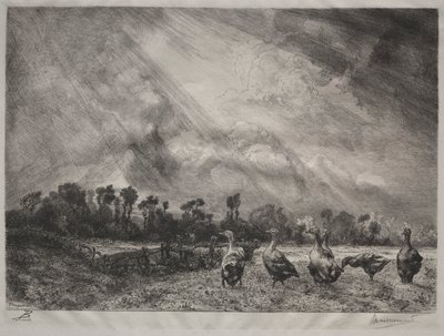 La nuvola di tempesta da Felix Bracquemond