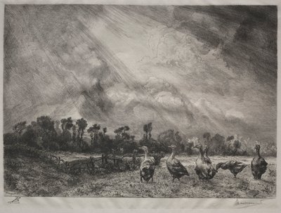 La nuvola di tempesta, 1878-1887 da Felix Bracquemond