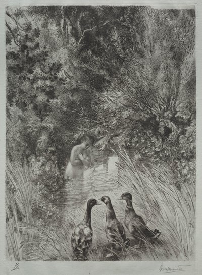 Le Anatre Sorpresi da Felix Bracquemond