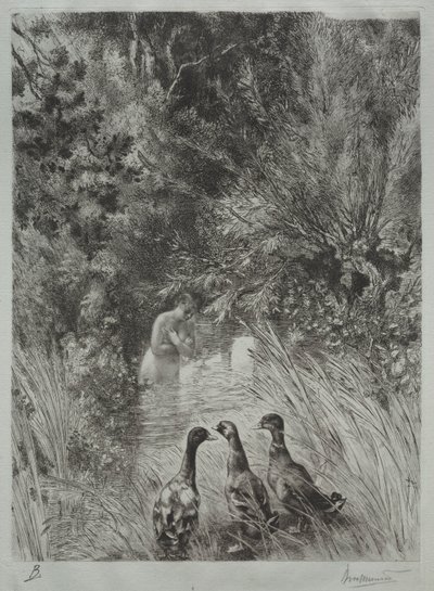 Le anatre sorprese da Felix Bracquemond