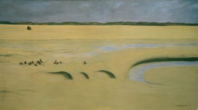 Il vaso, cielo tempestoso da Felix Edouard Vallotton