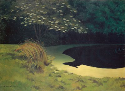 Lo stagno da Felix Edouard Vallotton