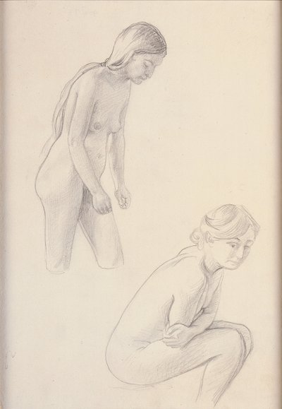 Due nudi da Felix Edouard Vallotton