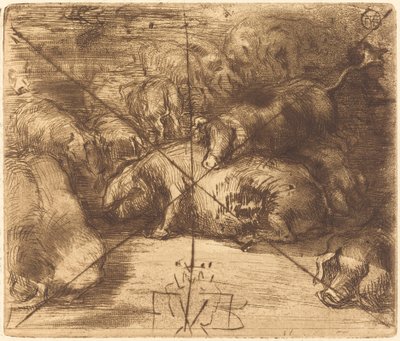 Maiali al sole da Felix Hilaire Buhot