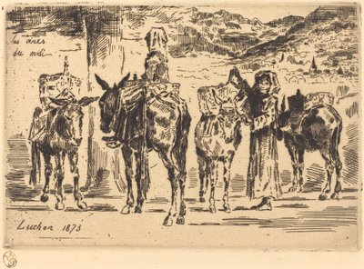 Foglie di Asini del Sud da Felix Hilaire Buhot