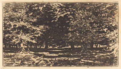 Foresta da Felix Hilaire Buhot