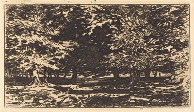 Foresta da Felix Hilaire Buhot