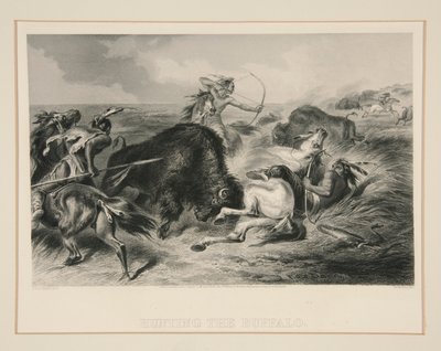 Caccia al Bufalo da Felix O. C. Darley
