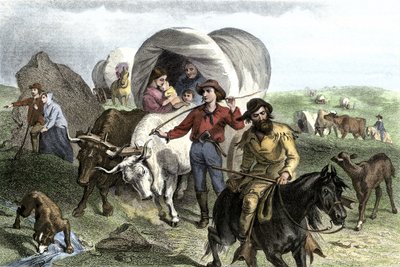 Storia dei coloni di West Conquete: Pionieri americani. Viaggio di diverse famiglie che attraversano le pianure degli Stati Uniti in diligenza trainata da buoi. Incisione colorata del XIX secolo. da Felix Octavius Carr Darley