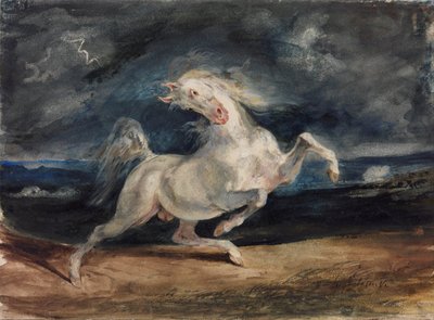 Cavallo spaventato dal fulmine da Ferdinand Victor Eugene Delacroix