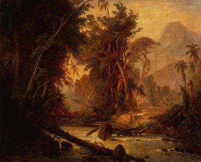 Una foresta tropicale in Venezuela da Ferdinand Bellermann