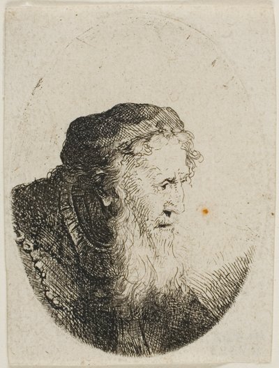 Vecchio barbuto con cappello a teschio da Ferdinand Bol