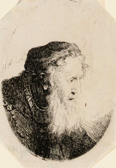 Vecchio con barba fluente da Ferdinand Bol