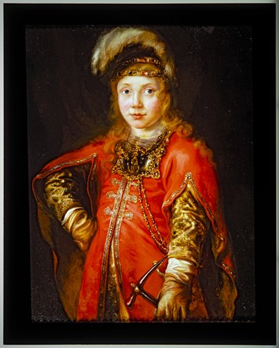 Ritratto di un giovane in tunica rossa da Ferdinand Bol