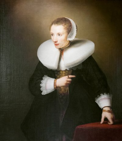 Ritratto di una donna sconosciuta da Ferdinand Bol