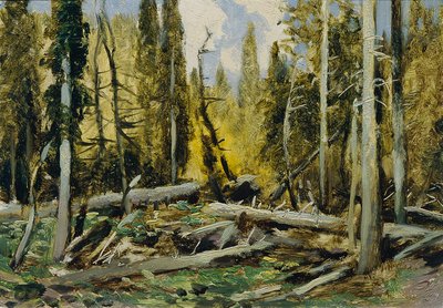 Foresta Boema da Ferdinand Engelmuller