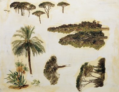 Studi di alberi da Roma da Ferdinand Georg Waldmuller