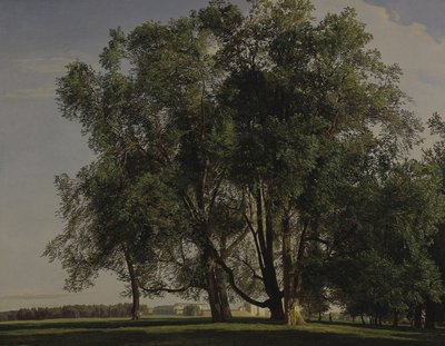 Paesaggio del Prater da Ferdinand Georg Waldmuller