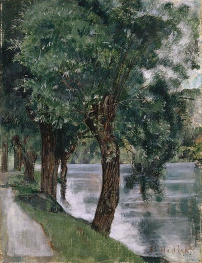 Salici al Rodano, c.1885 da Ferdinand Hodler