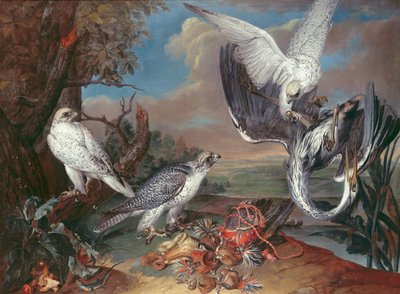 Falchi di Groenlandia da Ferdinand Phillip de Hamilton