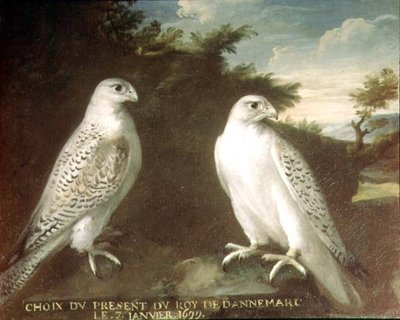 Coppia di Girifalchi in un Paesaggio da Ferdinand Phillip de Hamilton