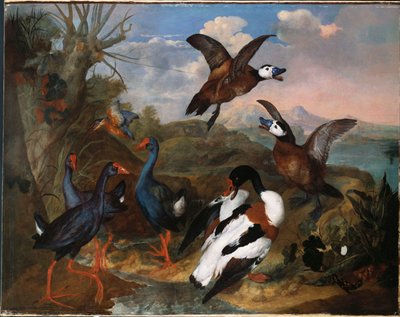 Anatre e altri volatili in un paesaggio da Ferdinand Phillip de Hamilton